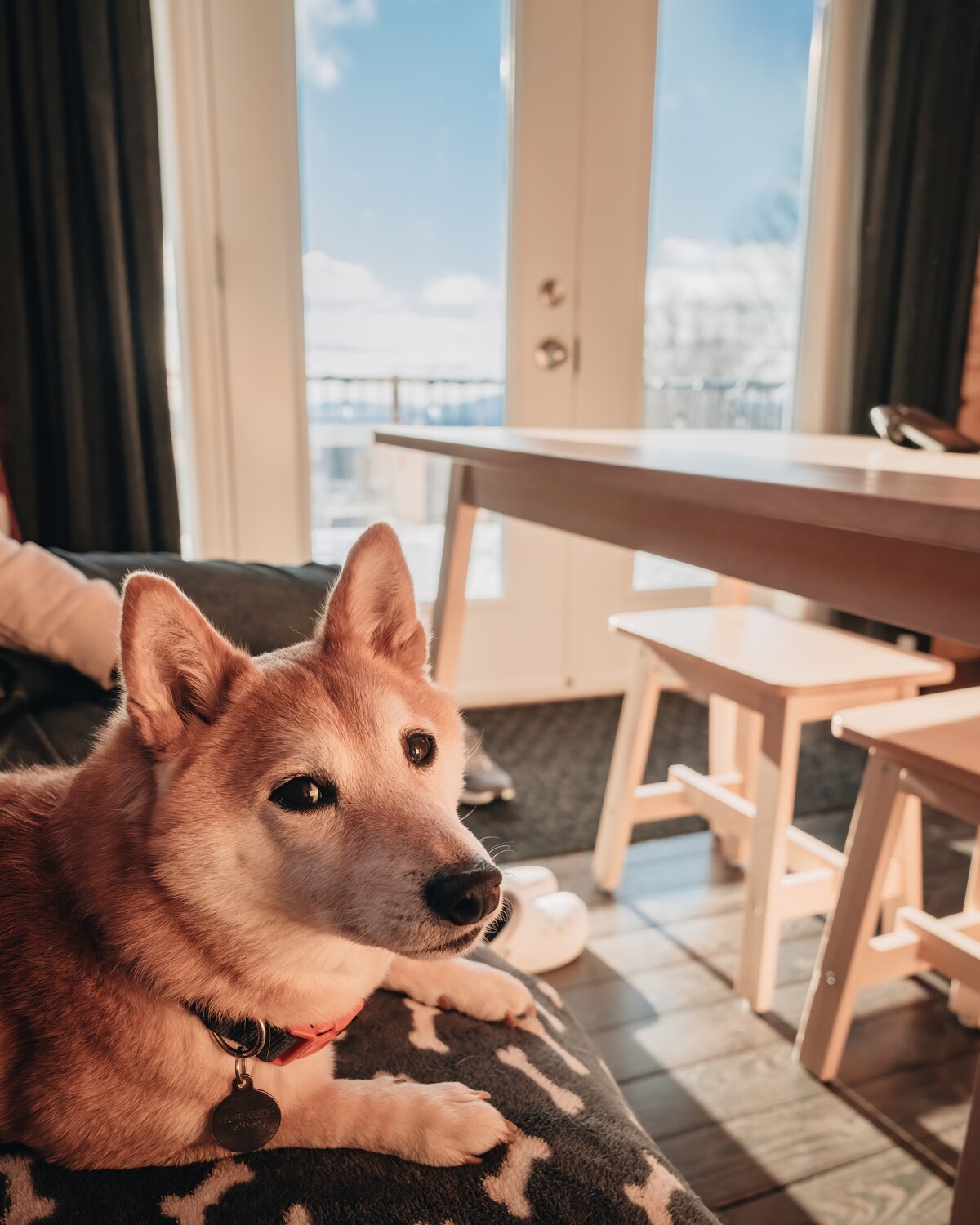 chata vhodná pre domáce zvieratá 