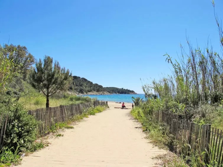 A sandy pathway leads through lush greenery towards the tranquil coastline, with gentle waves visible in the background. Tall grasses and shrubs frame the path, providing a natural border, while a hint of blue water awaits at the end of the trail.