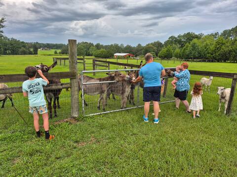Quiet Country Stay-Close to Ocala & Gainesville
