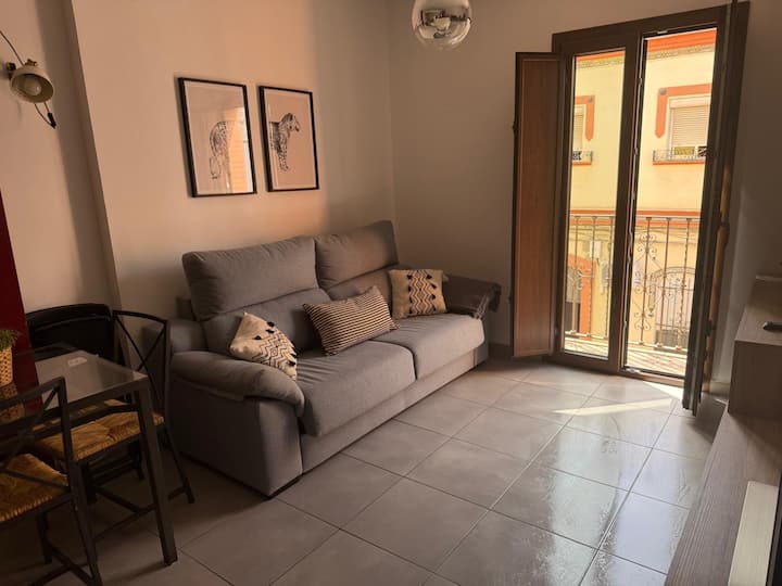 Fabuloso Apartamento En Triana - セビーリャ