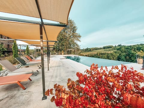 Gites de la fabrique 13p luxurious modern home