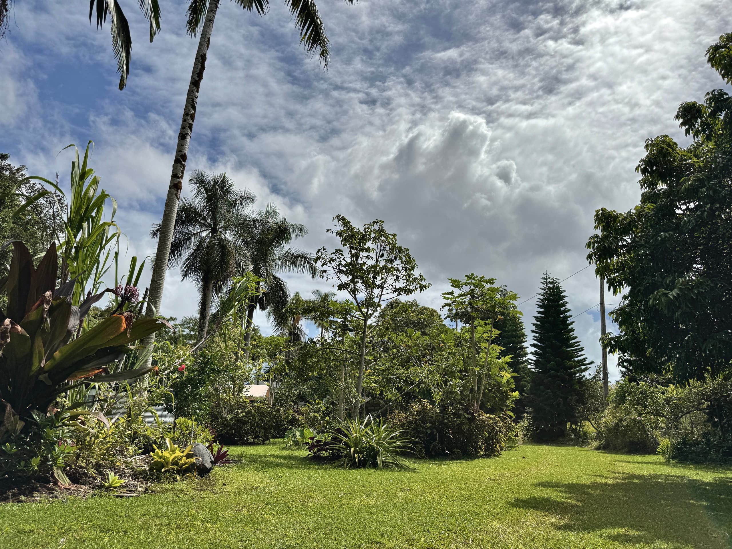 Home in Keaau · ★4.96 · 2 bedrooms · 3 beds · 1 private bath - Image 48