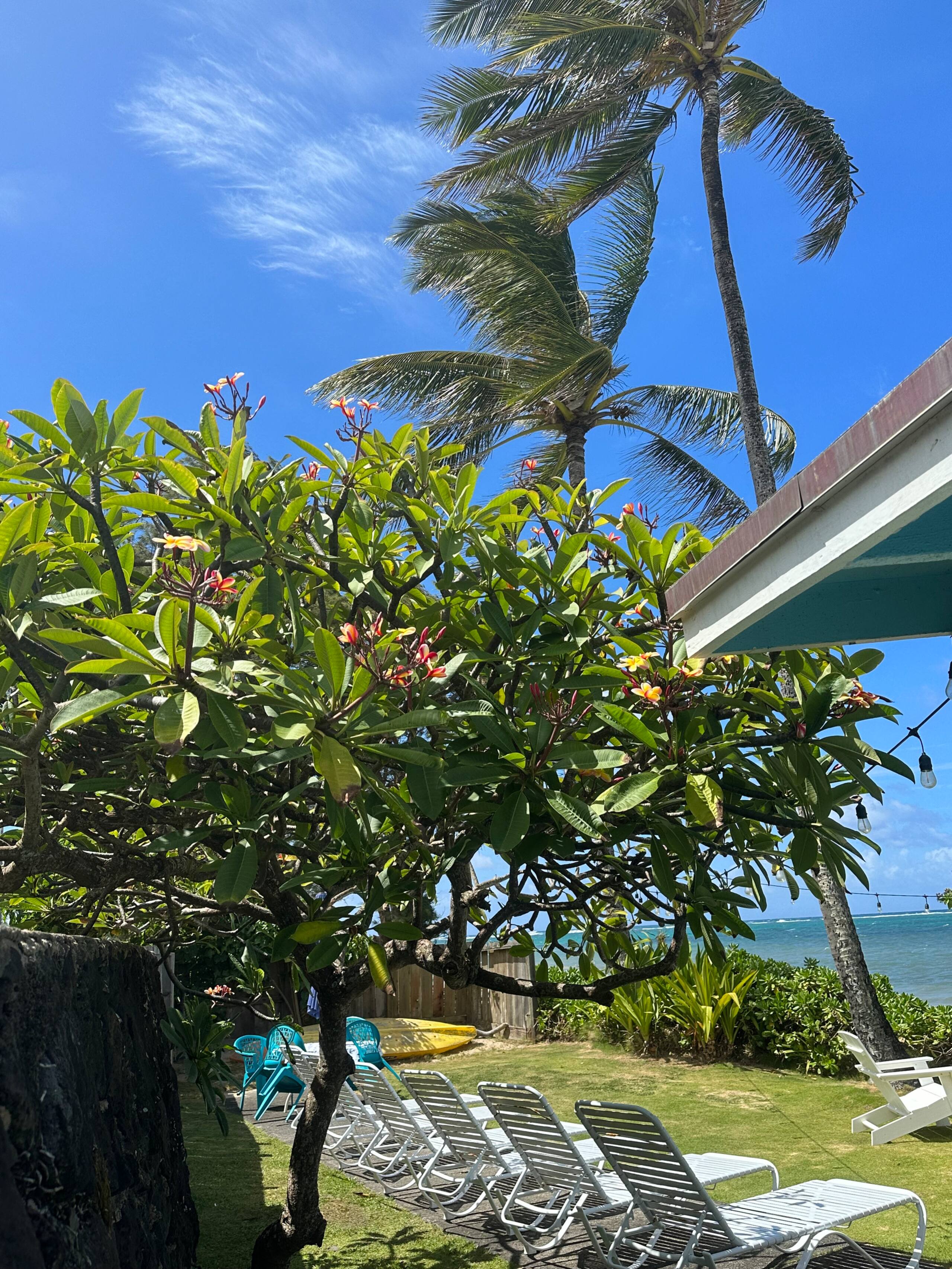 Home in Hauula · ★4.99 · 4 bedrooms · 5 beds · 2.5 baths - Image 44