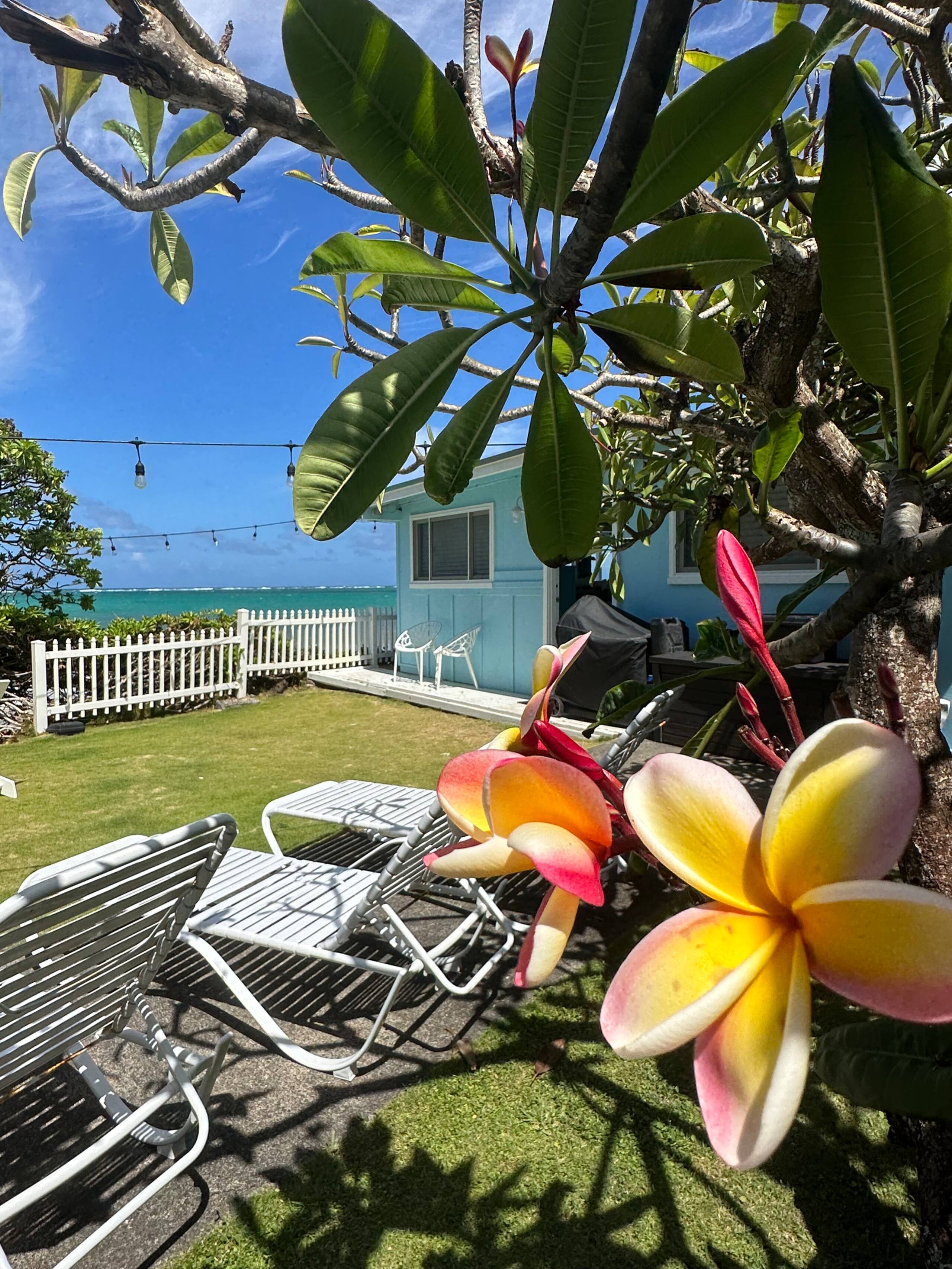 Home in Hauula · ★4.99 · 4 bedrooms · 5 beds · 2.5 baths - Image 41