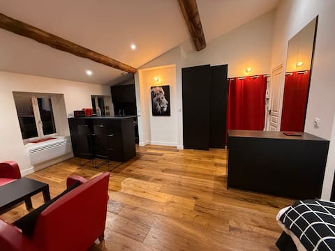 Top performing Airbnb: The suite of the Grand Hôtel Dieu! in Metropolis Of Lyon