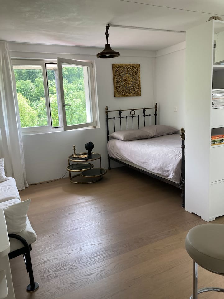 Bern - Zimmer Mit Ausblick  - Direkt An Der Aare - Berna