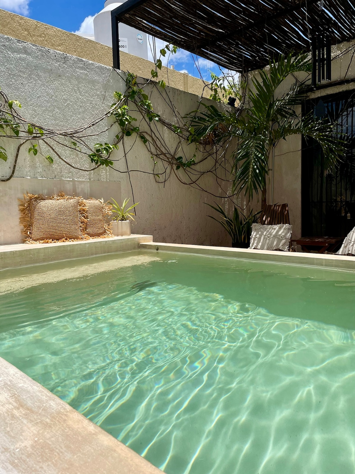 A tranquil swimming pool is nestled in a private outdoor space, with clear water reflecting sunlight. Surrounding greenery and a textured wall enhance the serene environment, while comfortable seating is arranged nearby for relaxation.