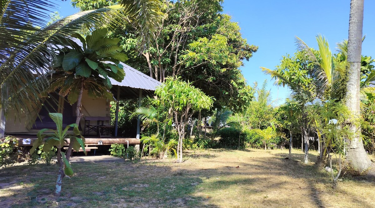 A tropical landscape is featured, with a tent structure partially visible amid lush greenery and palm trees. The area's well-maintained grass offers a natural setting, while the clear blue sky adds to the serene atmosphere.