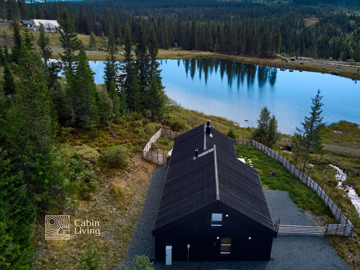 An aerial view of the modern cabin set against the backdrop of a tranquil lake, surrounded by lush greenery. The structure features a dark exterior, and a spacious yard leading to the water. Reflections of trees can be seen on the lake's surface.