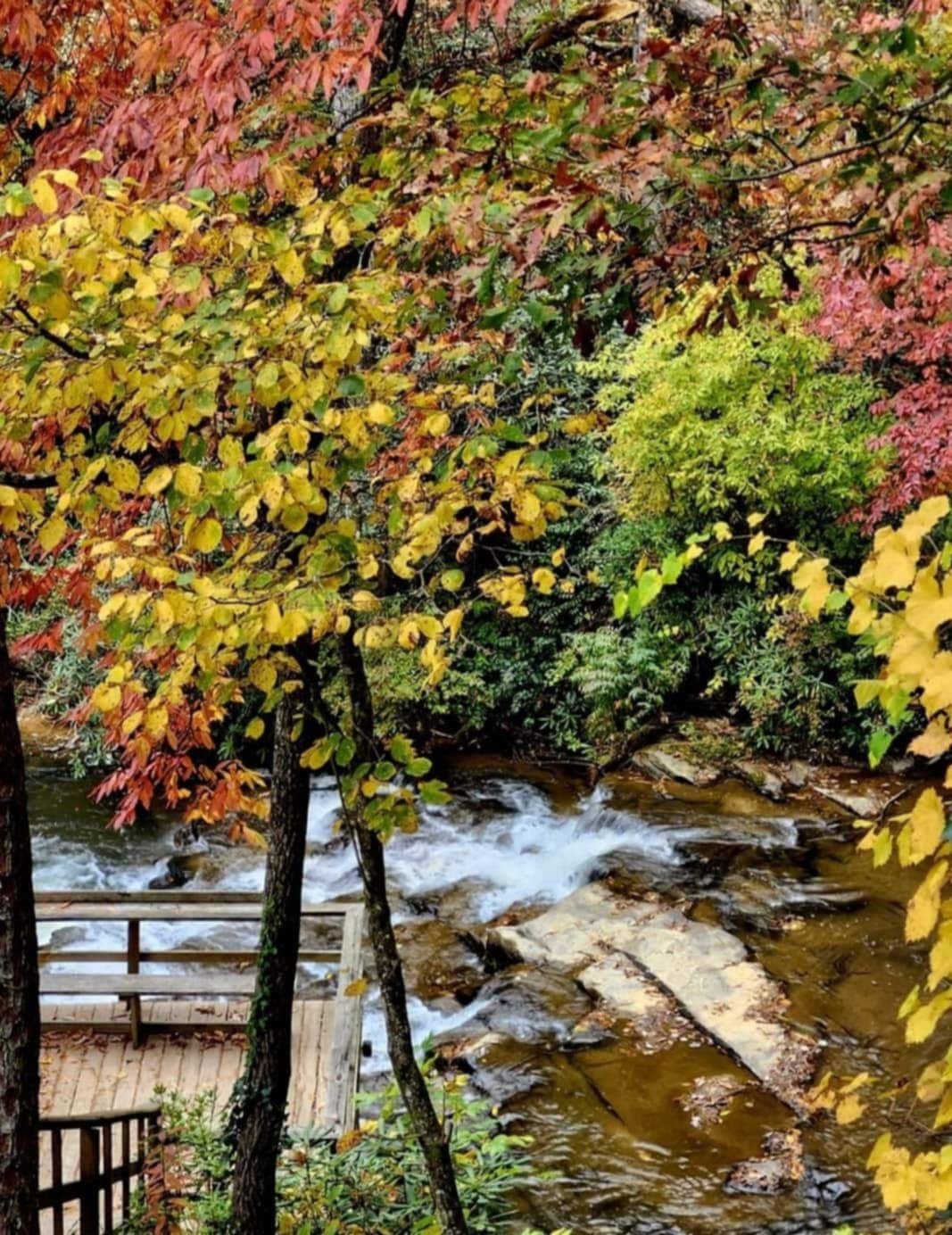 Vibrant autumn foliage frames a serene creek, where water gently flows over smooth stones. A wooden deck is situated nearby, providing a peaceful viewing area amidst the colorful leaves.