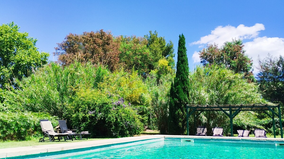 A spacious outdoor pool is surrounded by lush greenery, including tall trees and dense shrubs. Sun loungers are set up nearby, inviting relaxation. A shaded area with a pergola can be seen in the background, enhancing the tranquil atmosphere of the garden.