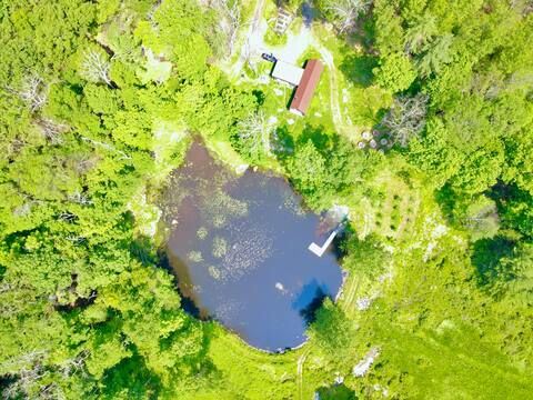 The Pond House - A modern cabin within the forest.