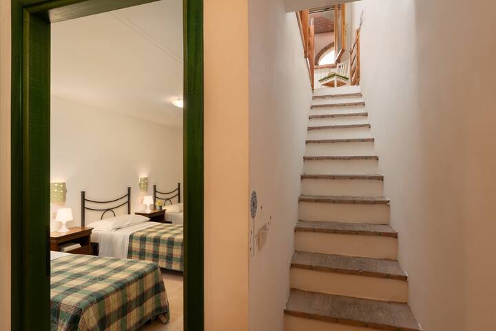 Habitación 1