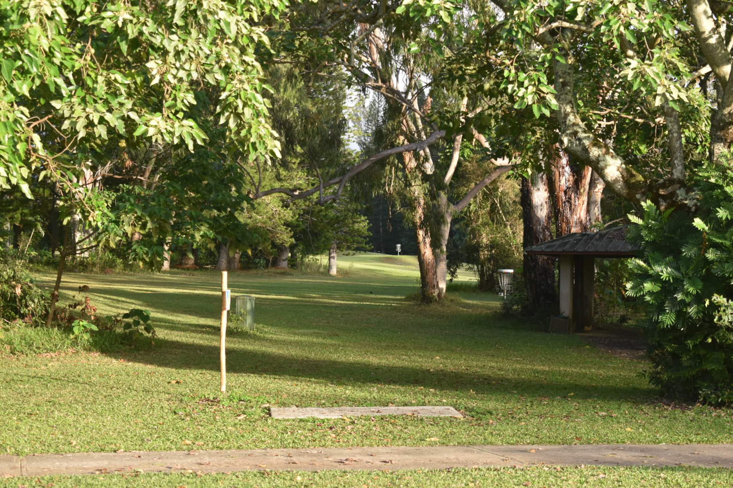 Princeville studio Surf Suite - Image 17