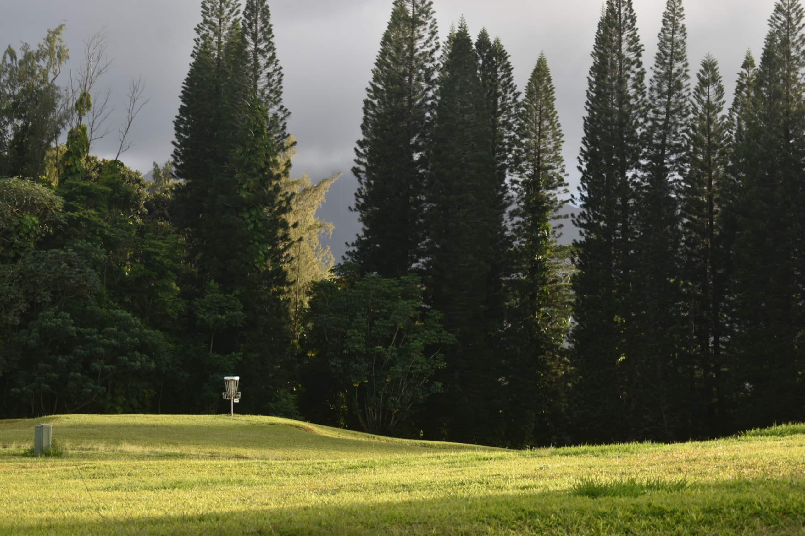 Princeville studio Surf Suite - Image 16