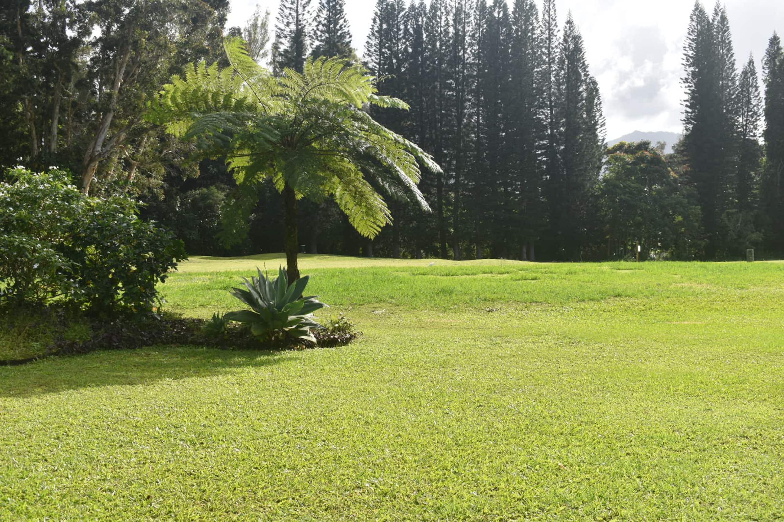 Princeville studio Surf Suite - Image 15