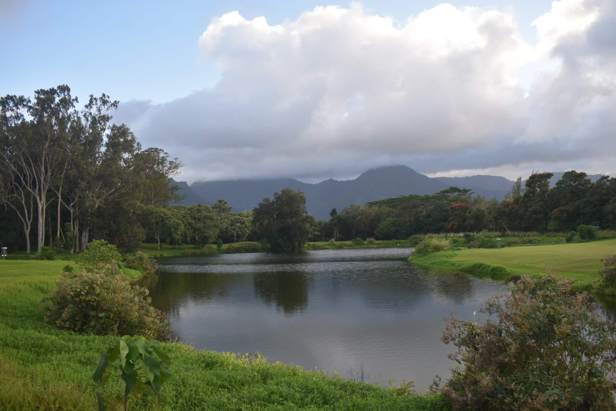 Princeville studio Surf Suite - Image 18
