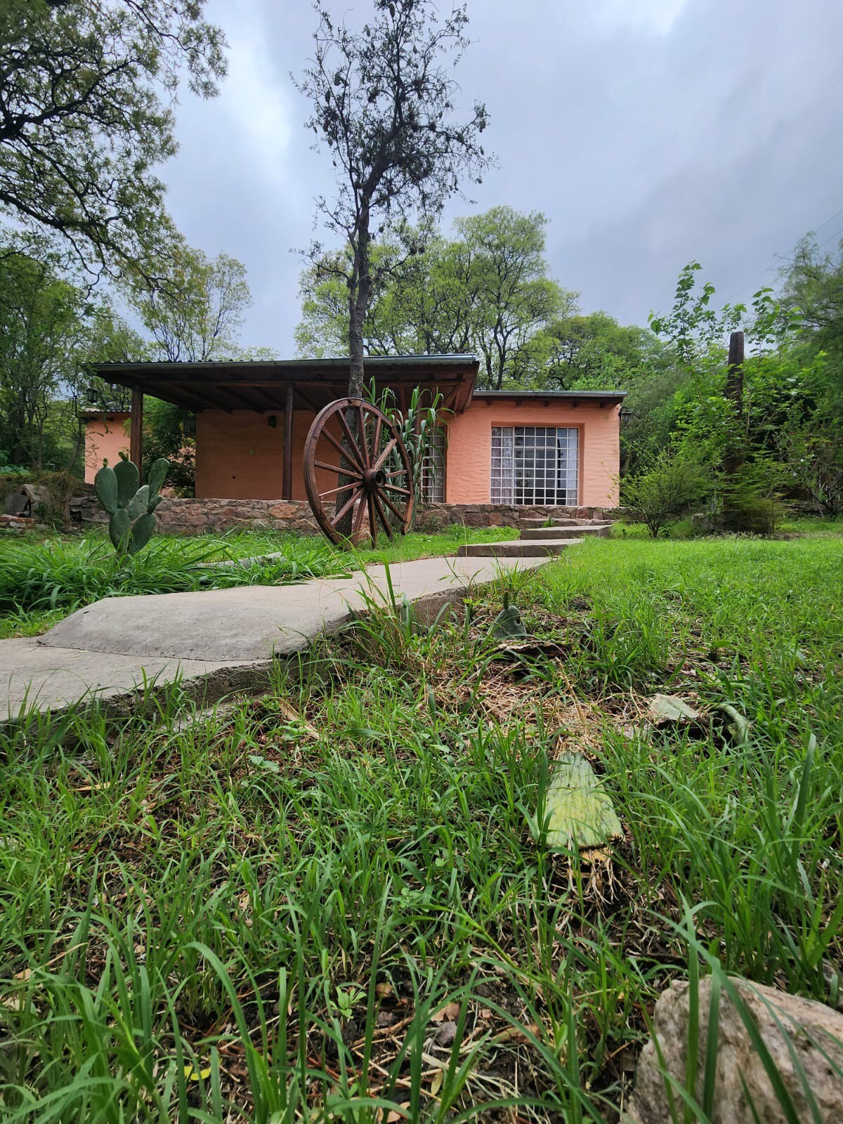 A charming cabin is set amidst lush greenery, with a stone pathway leading to the entrance. A wooden wheel decoration is positioned by the porch, which is shaded by a roof supported by wooden beams. Surrounding foliage features various plants and trees.