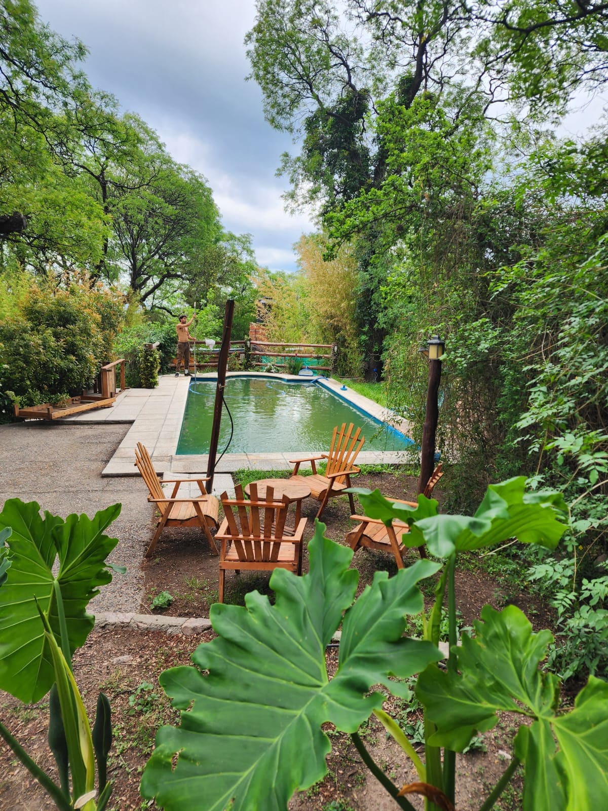 A secluded outdoor area features a tranquil pool surrounded by lush greenery. Wooden lounge chairs are positioned around the pool, inviting relaxation. Towering trees and vibrant plants create a serene atmosphere, enhancing the natural beauty of the space.