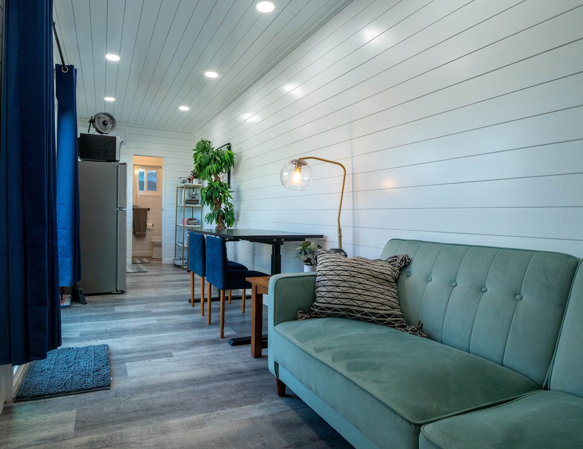 An inviting living area is presented with a green sofa and a small dining table surrounded by four chairs. Natural light is seen streaming in from a window dressed with blue curtains. A potted plant and a modern lamp enhance the space's cozy feel.