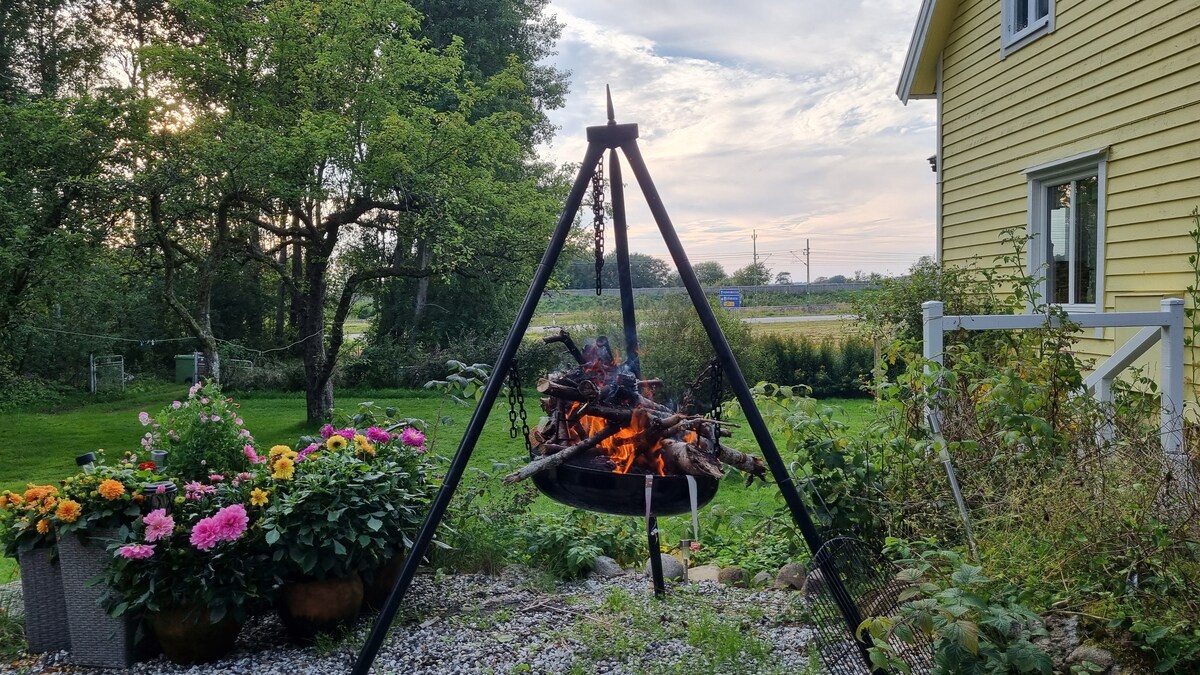A fire pit is seen in the garden, surrounded by colorful flower pots featuring pink and yellow blooms. Lush greenery and trees provide a natural backdrop, with a glimpse of open fields and a distant road visible in the background under a soft evening sky.