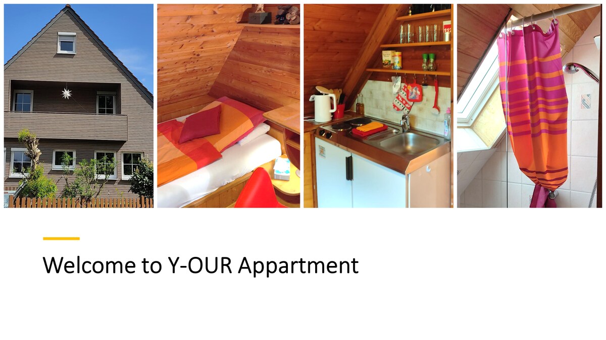 The image displays a wooden house with a sun motif on the exterior. Inside, a cozy sleeping area features colorful bedding and slanted ceilings. A small kitchenette is visible, equipped with essential appliances. A vibrant shower curtain adorns a separate bathroom, with a skylight allowing natural light.