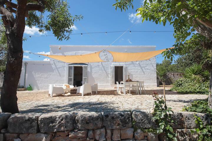 Historic villa and pool set amongst ancient olives gallery image 5