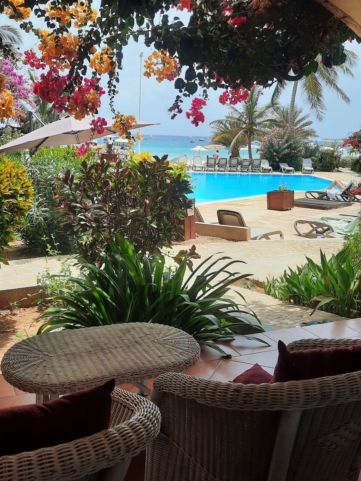 A serene view is provided from a terrace overlooking a landscaped garden and a pool. Colorful bougainvillea blooms add vibrancy, while palm trees sway gently. Sunbeds are arranged near the pool, with the sea visible in the background.