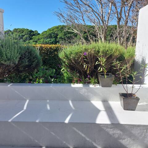 Tristan’s Beach House – Kommetjie gallery image 2