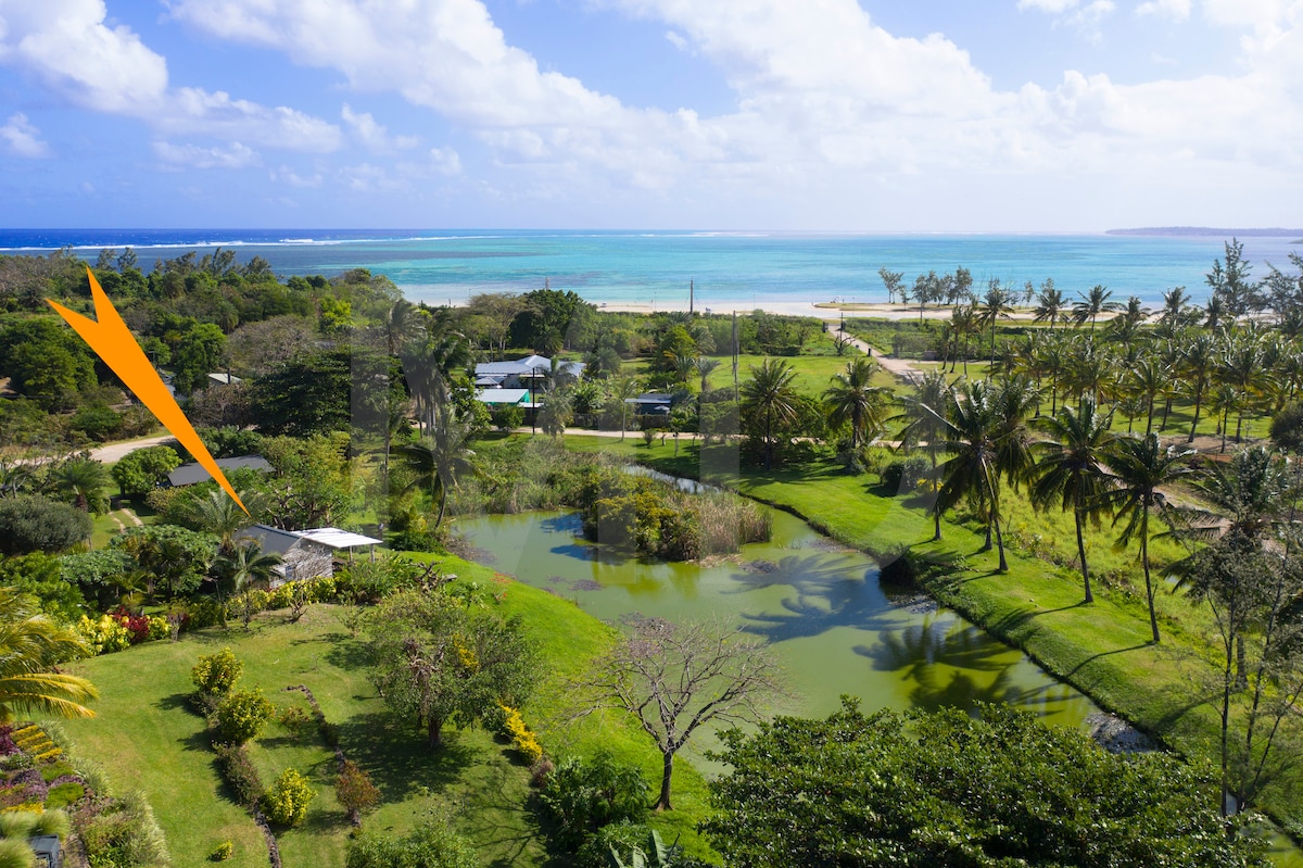 A vibrant landscape showcases lush greenery and a tranquil pond, framed by palm trees. The ocean glistens in the background, with sandy beaches visible in the distance. The secluded bungalow is nestled within this expansive garden, promoting a sense of privacy and natural beauty.