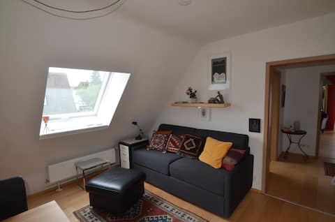Top performing Airbnb: Bed and Art Apartment with roof terrace in Nürnberg