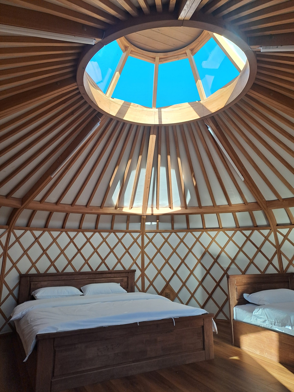 Inside the ger, a spacious layout is revealed, featuring wooden furniture and two beds. A circular skylight above allows natural light to filter in, enhancing the warm wooden accents of the structure's interior.