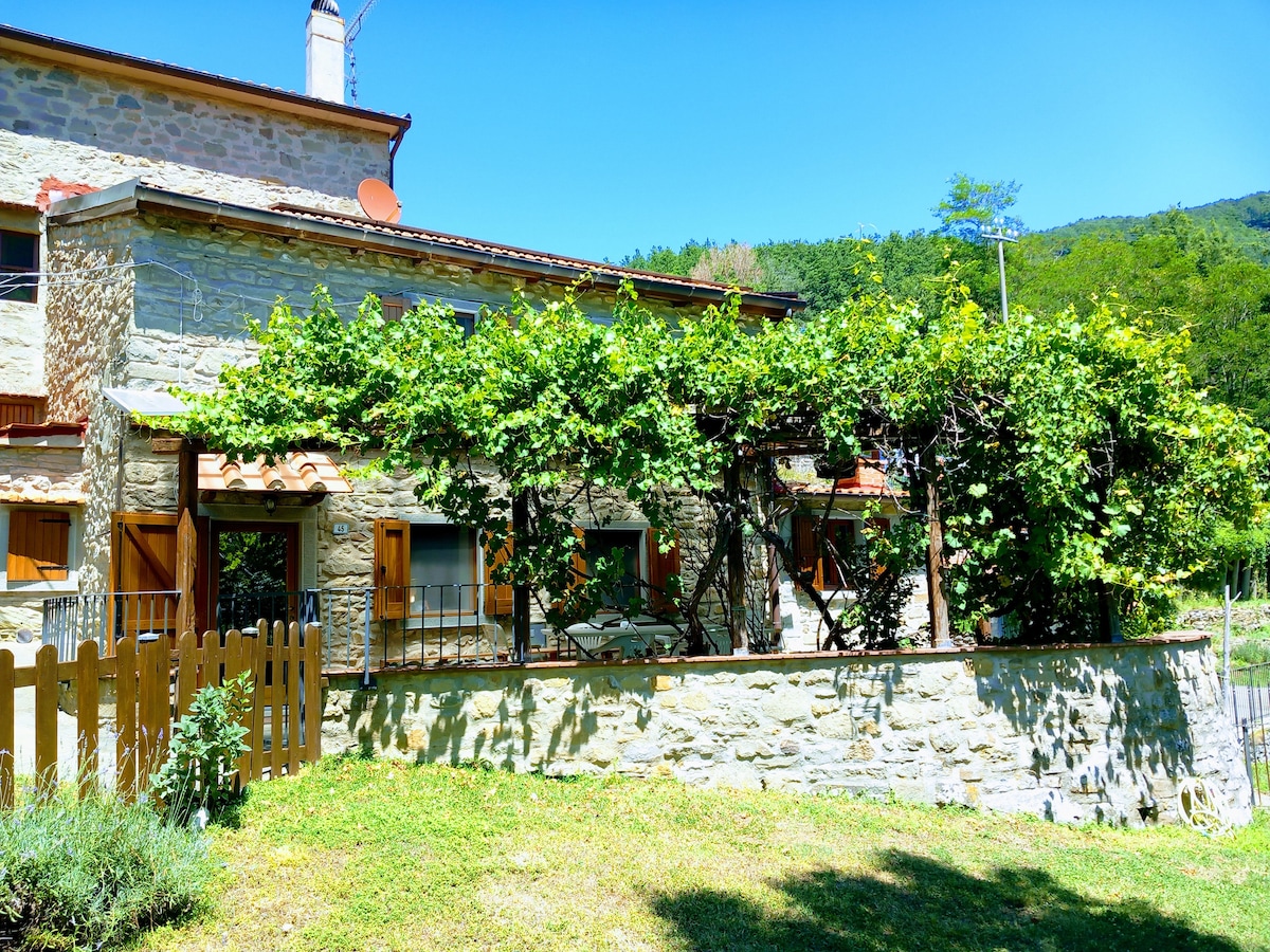 The house in the paradise of Serra. - Houses for Rent in Chiusi della Verna,  Toscana, Italy - Airbnb, image size:1200x900