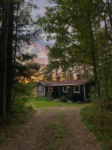The tranquility of the lakes in the forests of Vittsjö
