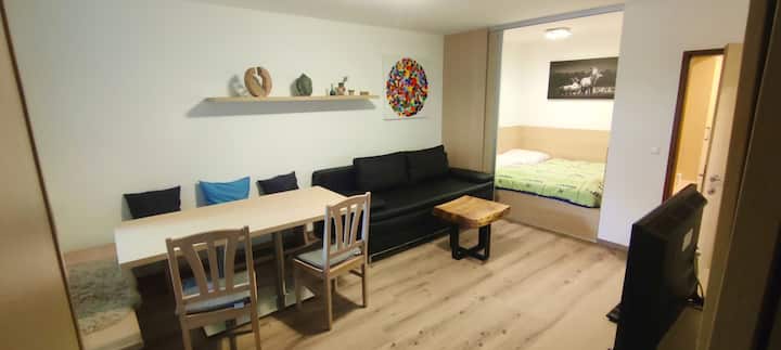 Comfort Apartment Haus Thalgau Iii-16 - Saalbach-Hinterglemm