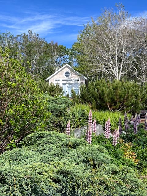 Elegant Private Summerville-Beachfront Retreat