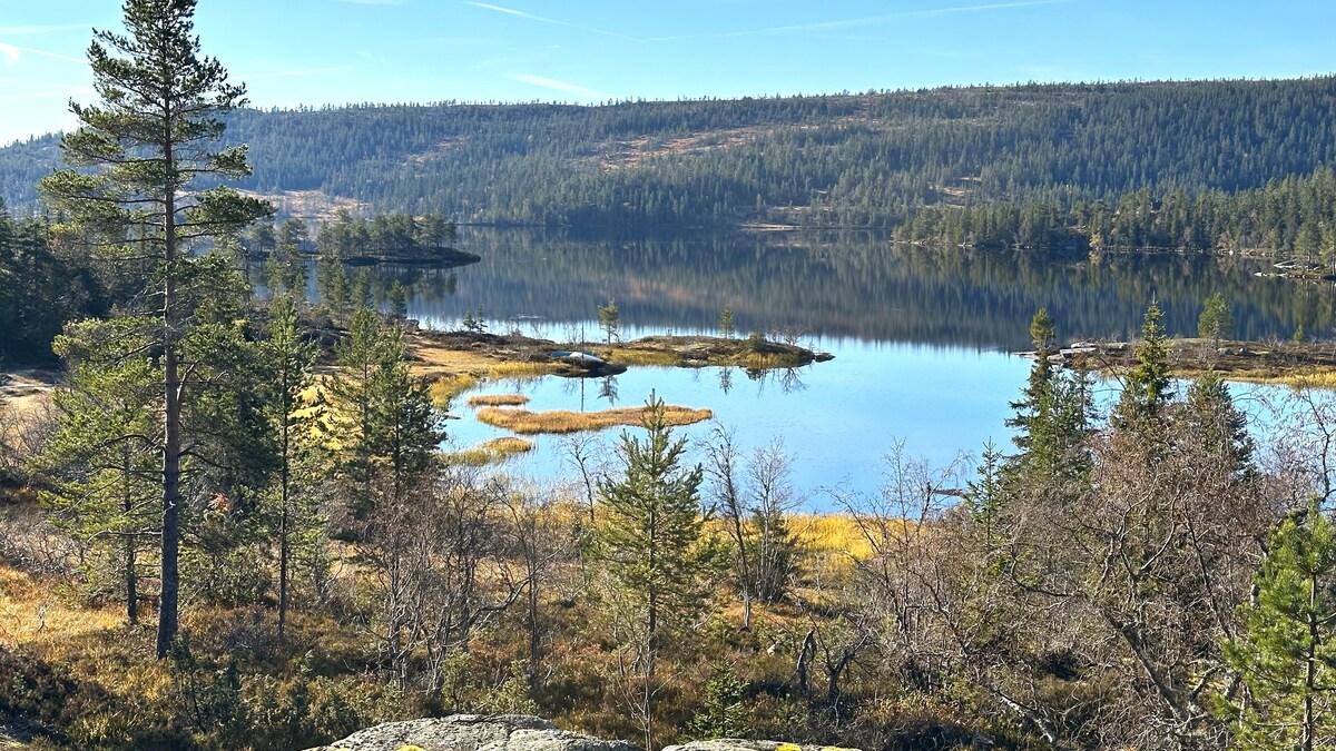 A serene landscape is presented, featuring a calm lake surrounded by greenery and rocky shores. Reflections of trees and the sky are visible on the water's surface, creating a harmonious natural scene. The distant hills provide a backdrop to this tranquil environment.