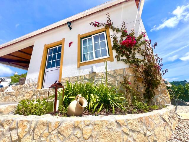 Lisbon dist. Villa piscine, 10 personnes gallery image 3