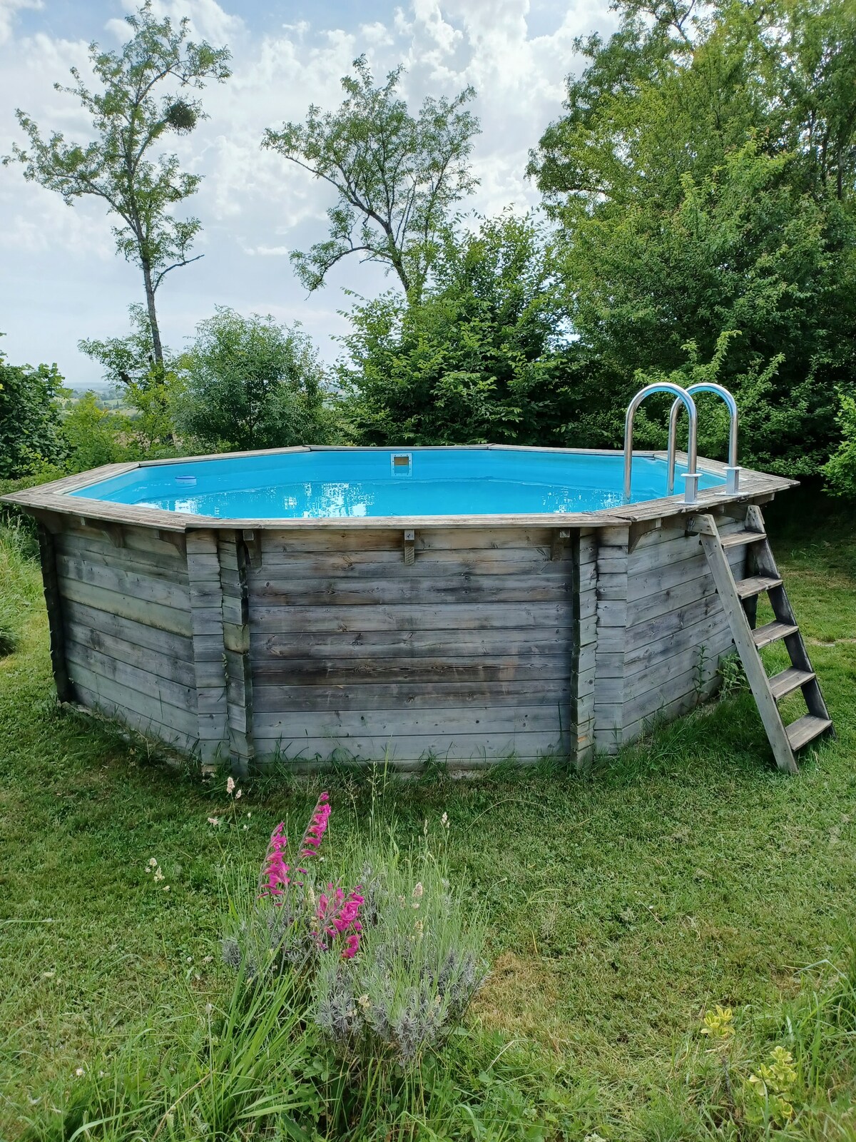 An above-ground pool is set in a grassy area, surrounded by lush greenery and trees. A wooden ladder leads to the pool, which features clear blue water under a partly cloudy sky. Vibrant flowers add a pop of color to the serene landscape.