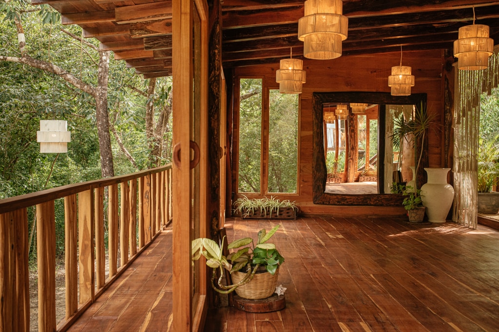 An open wooden space features large windows that provide views of the surrounding greenery. Natural light fills the area, highlighted by several unique light fixtures. A large mirror reflects the outdoors while potted plants add a touch of nature to the interior.