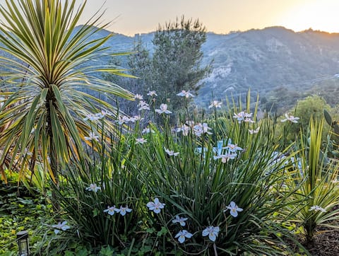 Charming  2BR/2BA Topanga Home