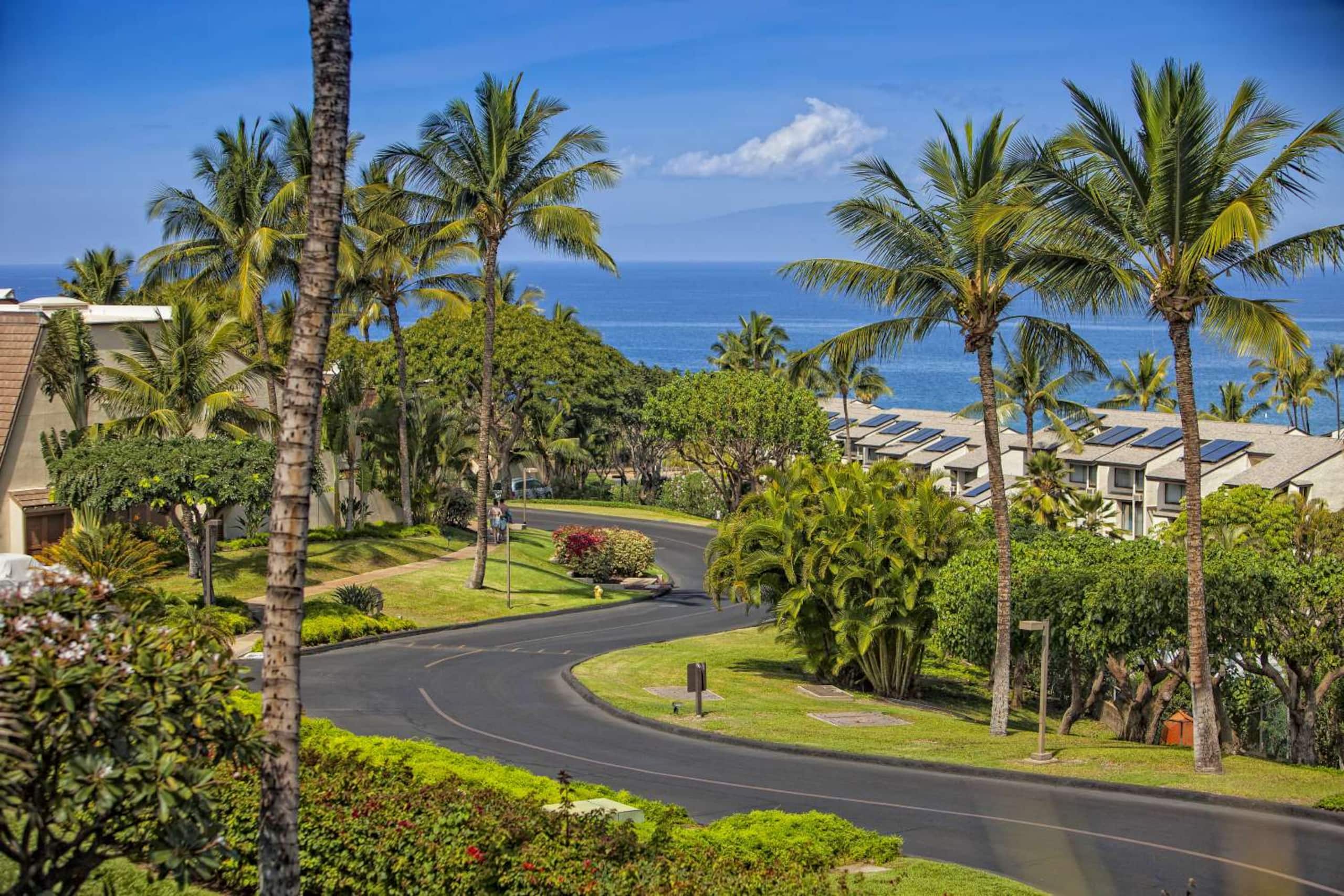 Condo in Kihei · ★4.97 · 2 bedrooms · 3 beds · 2 baths - Image 16