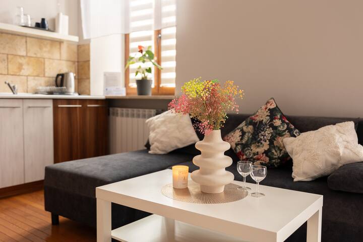 A cozy apartment in the city center (Studio)