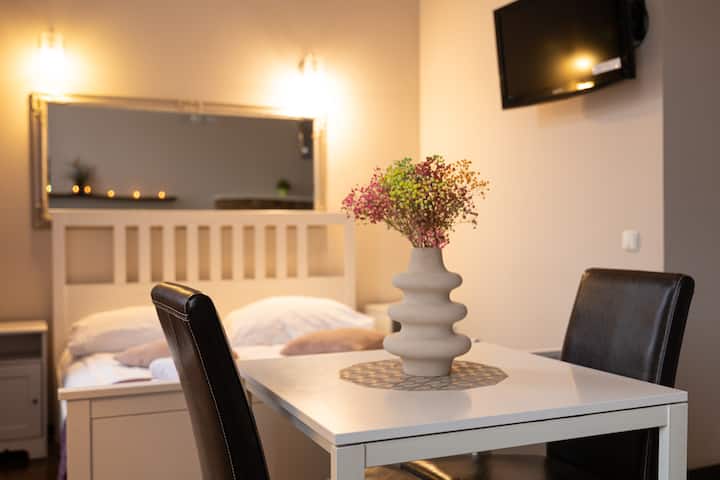 A cozy apartment in the city center (Studio)