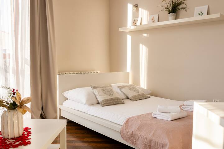 A cozy apartment in the city center (Studio)