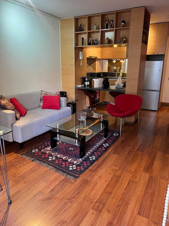 Acogedor Departamento En Providencia, 2 Personas - Cordillera