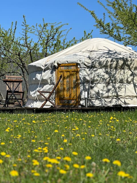 Sleeps 3 Yurt (Mint Yurt)