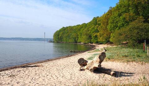 Klabuni! For nature lovers: beach, forest, tranquility.