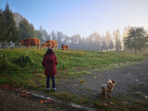 Asturian warmth in a pet-friendly home with gardens