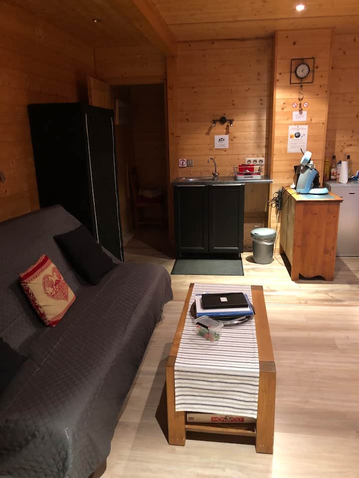Sur la petite table de salon, tout plein d'informations pour partir à la découverte de la région (visites, balades, randonnées) ; sous celle-ci, jeux de société pour grands et petits. Livres à la demande.